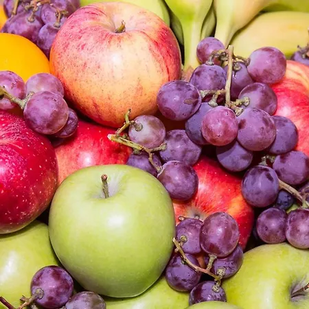 Future Industry Hannover מלון Hemmingen (Hannover)